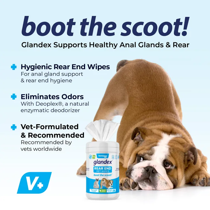 Glandex® Anal Gland Hygienic Pet Wipes - 75 Fresh Scented Wipes