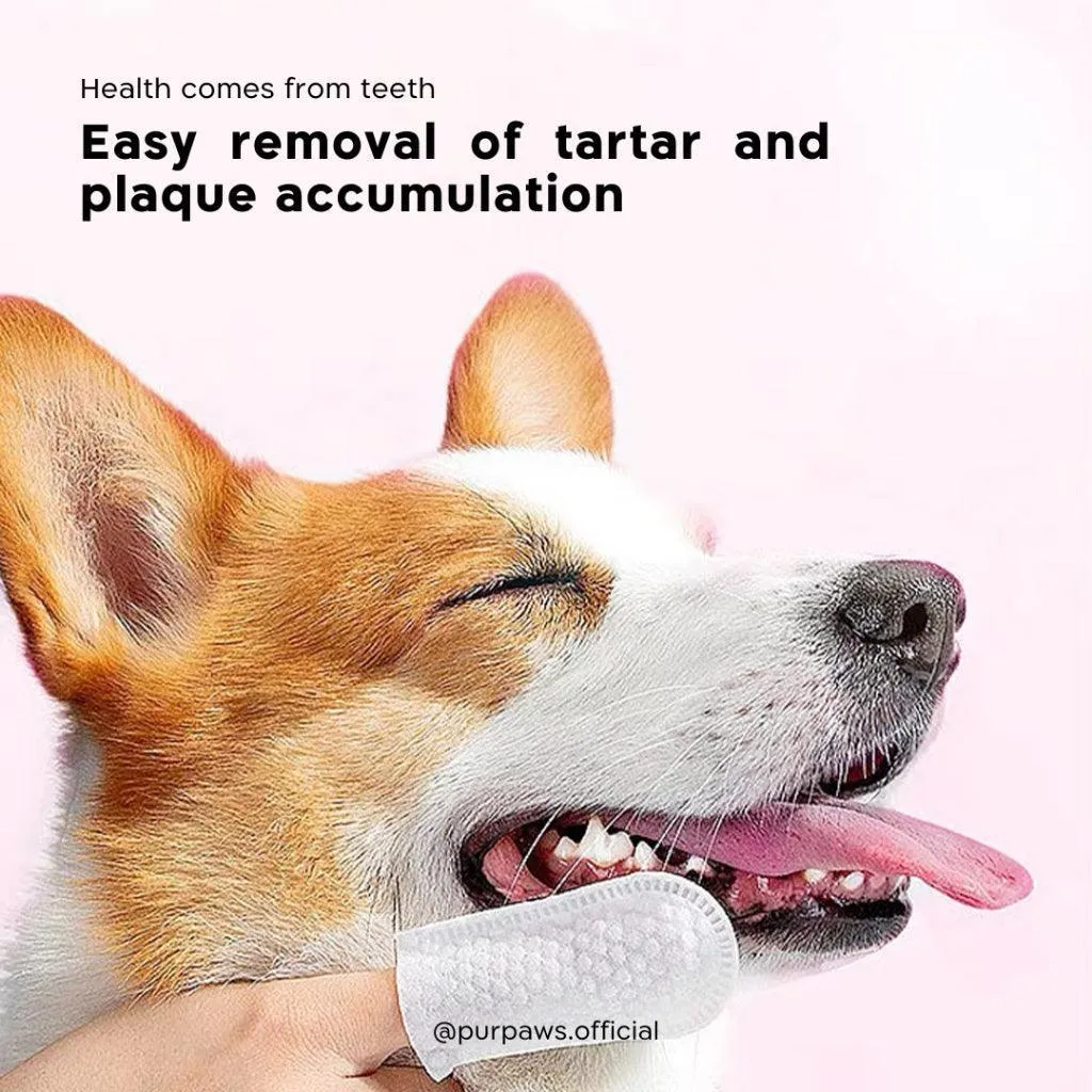 Purpaws Organic Dental Wipes