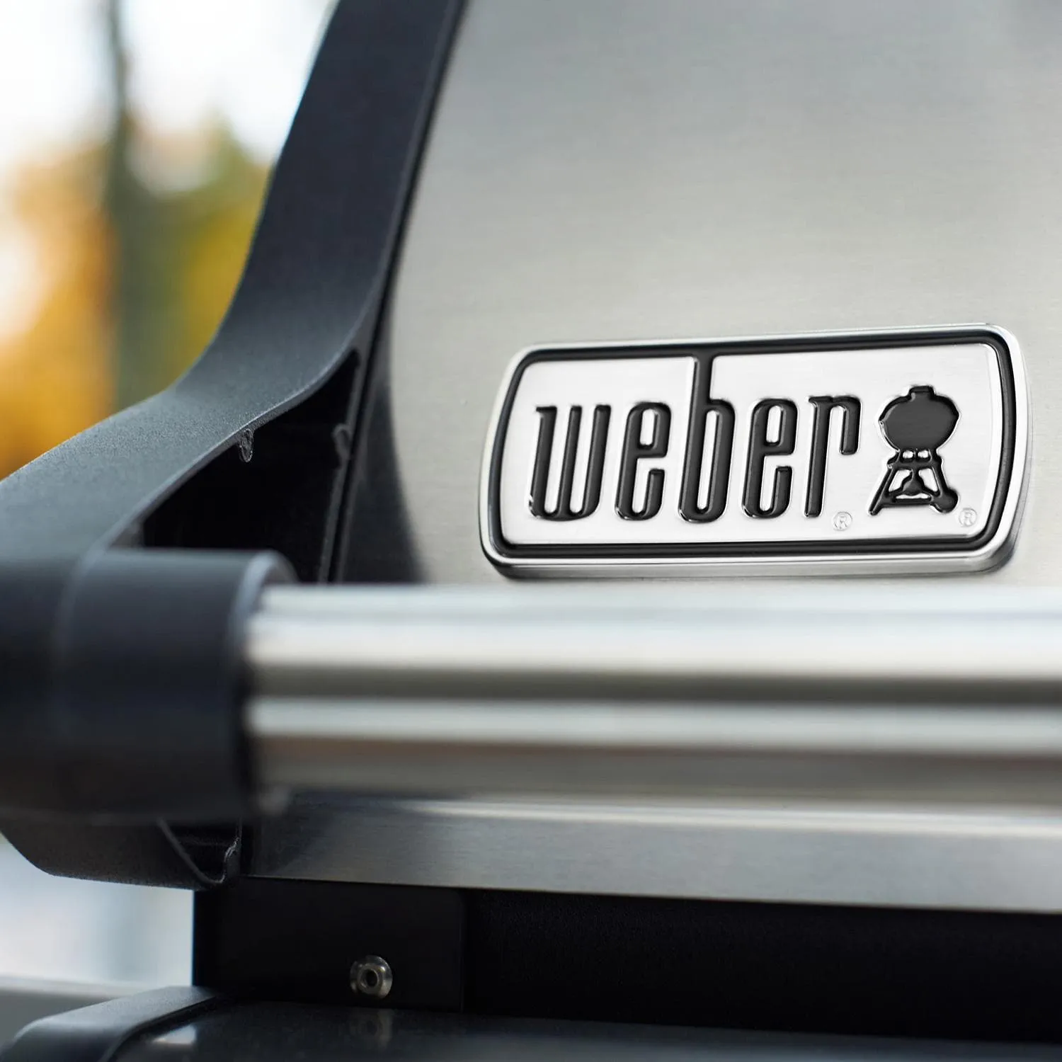 Weber:  Spirit Sx-315 SS LP US/CA